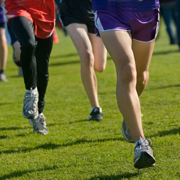 Joint & Mobility Support