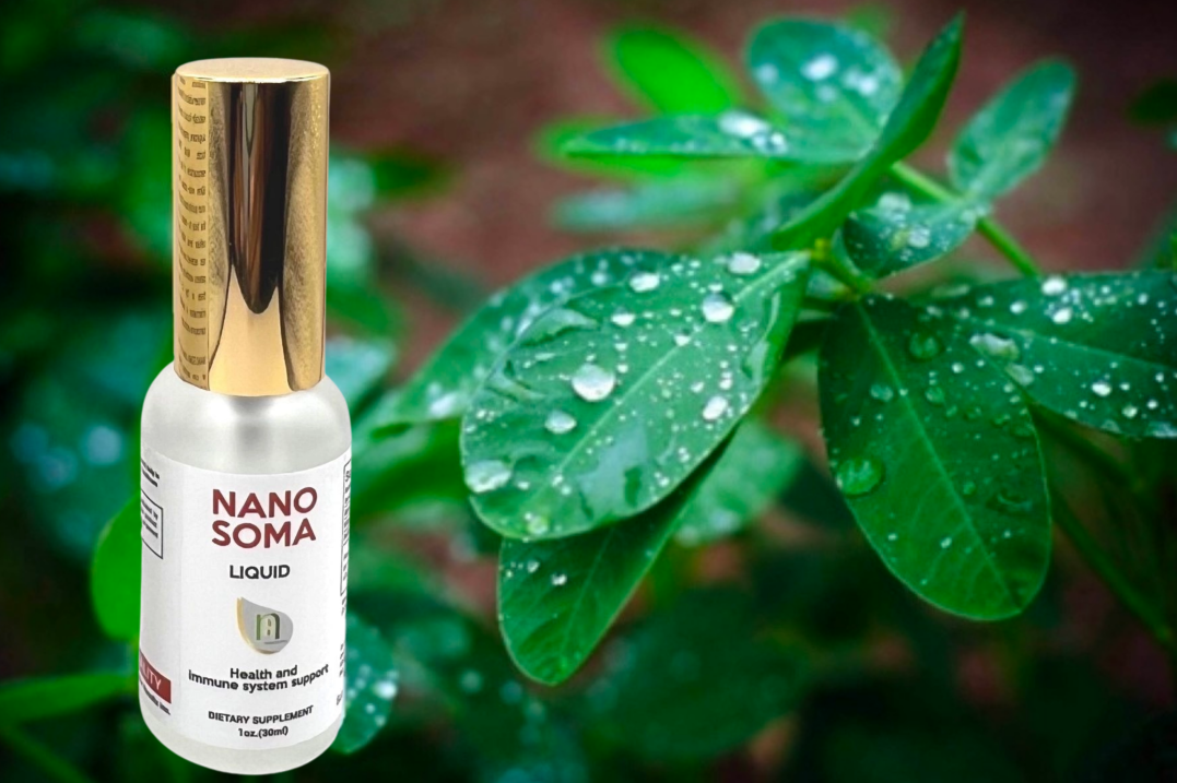 NANO SOMA Nutritional Liquid Supplement - 3 bottles – shop